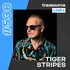 Traxsource LIVE! 538 - Tiger Stripes